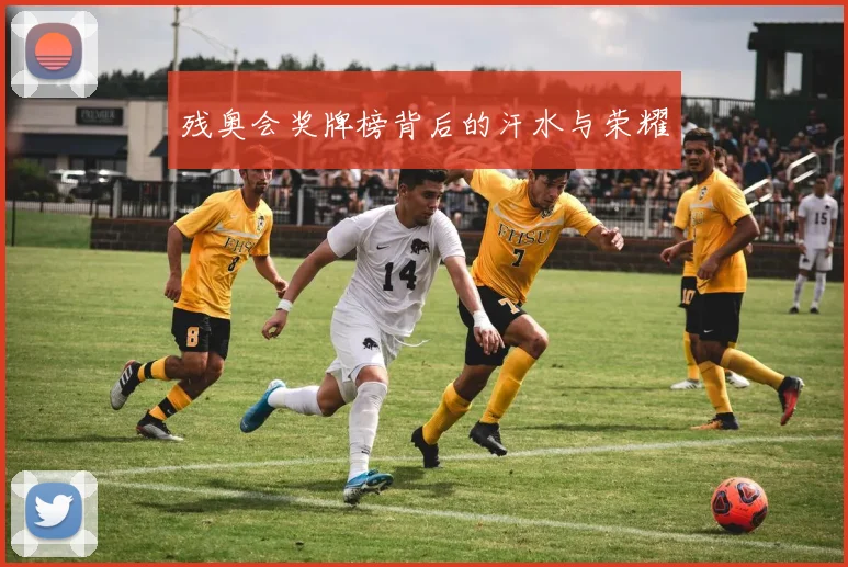 残奥会奖牌榜背后的汗水与荣耀